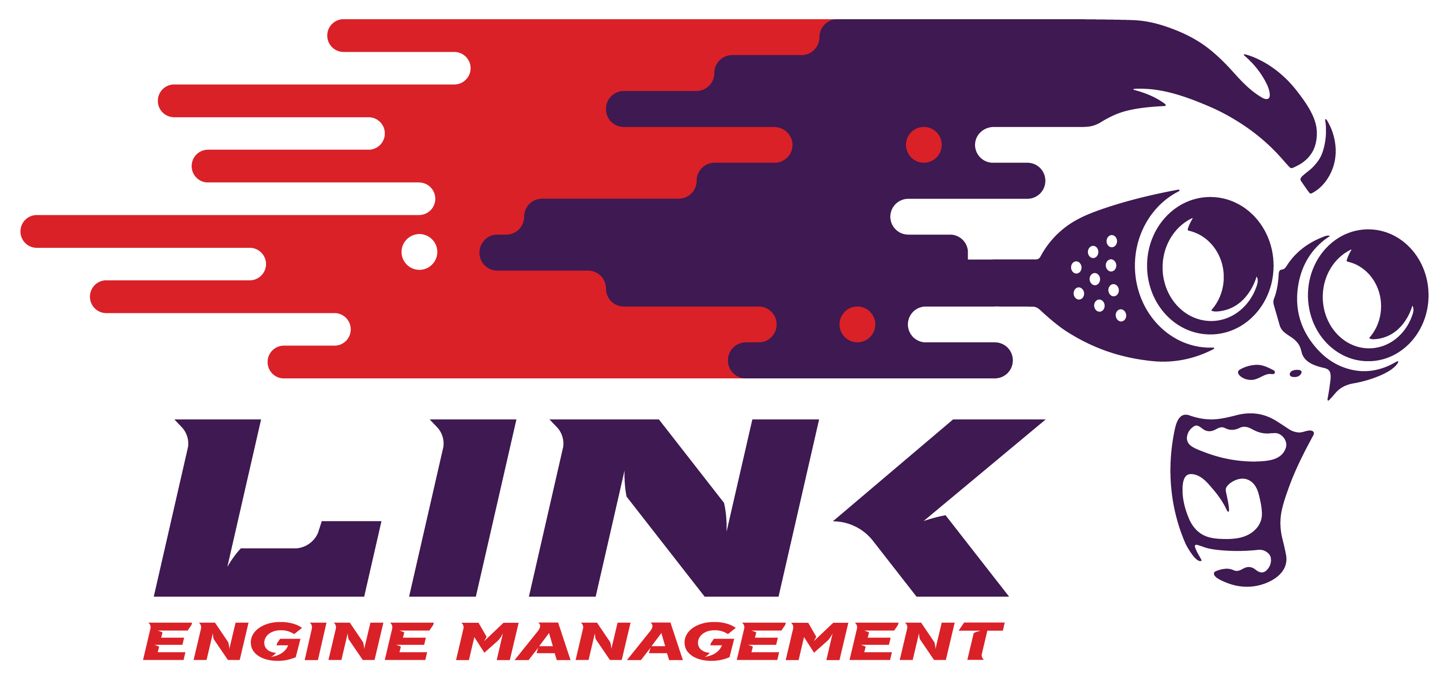 Link ECU