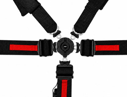 Photo - Close Up