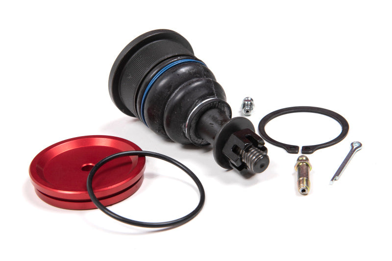 Photo - Primary