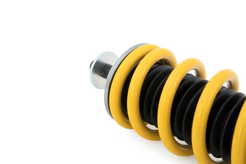 Photo - Close Up