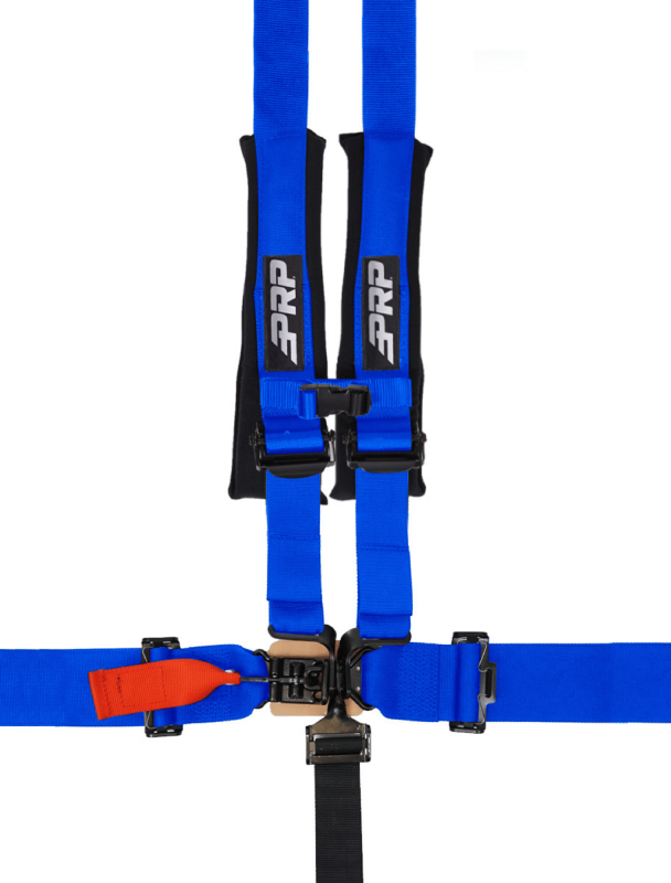 Photo - Close Up