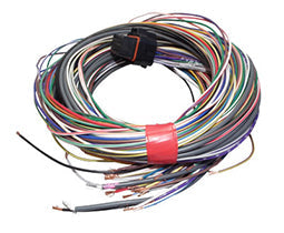 Link ECU B Loom Medium (2LB)